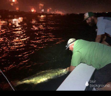 Night time tarpon on a fly is such a blast.