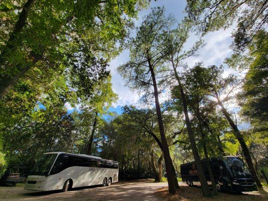 Black & white motorcoach