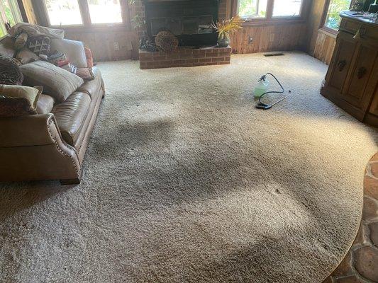 Deep rotary cleaning call 619-561-2378 to schedule a carpet cleaning today !