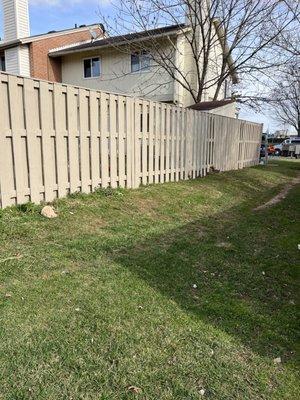 Fence Painting