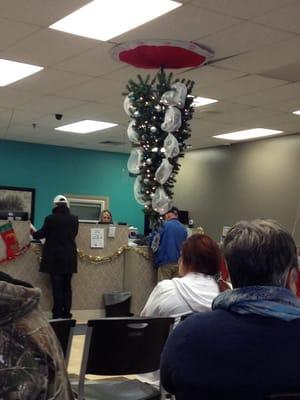 Festive upside down Christmas tree at the Gladstone DMV.