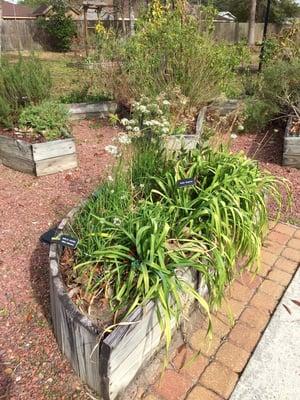 Herb garden