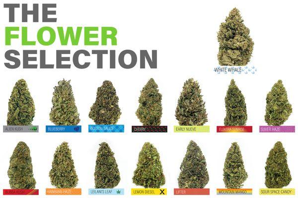 We offer a massive hemp flower selection.