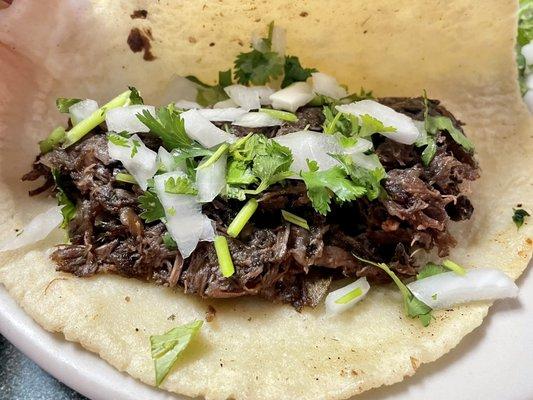 Moist, flavorful barbacoa on a homemade corn tortilla