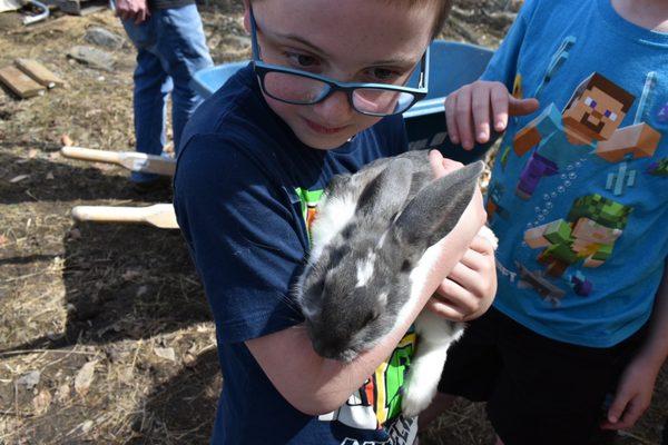 Baby bunny!