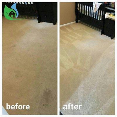 No spots Guarantee! From the carpet cleaning company near you Carpet Cleaning Niceville