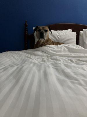 King size bed