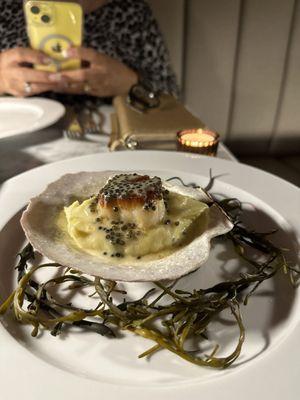 Appetizer:  Large Pan Seared Scallop on capered mashed potatoes