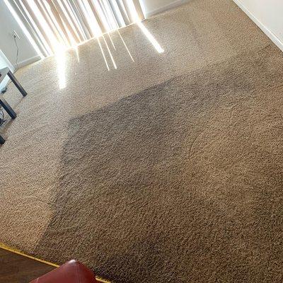 Deep Carpet Cleaning the Hernandez Way!