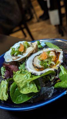 Fresh Oysters | @sushitraveler