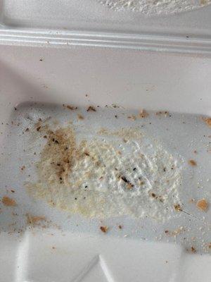 Styrofoam melted from sandwich