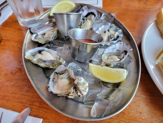 Oysters on the Half Shell