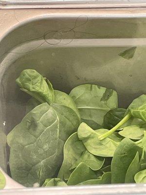 Hair on spinach container