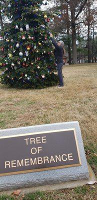 The Memorial tree.