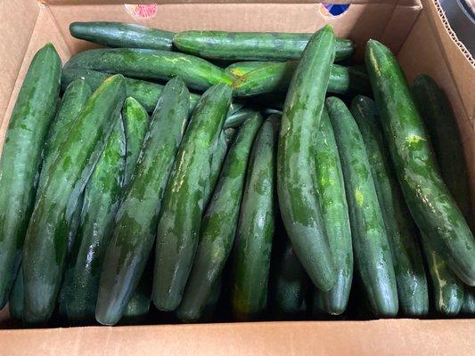 Freshness in a box! Thank you for another awesome box of cucumber! Sooooo fresh!!