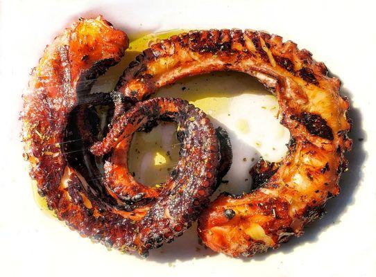 Grilled Octopus