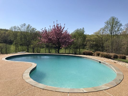 A beautiful pool that was just opened.