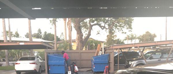 Neighbors picking through trash.