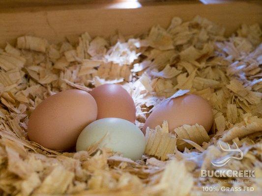 Buck Creek Meat's fresh eggs.