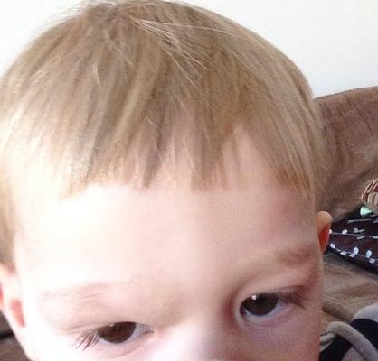 He sat still the entire 30 minute hair cut and it's still terribly uneven.