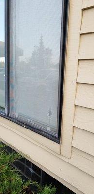 Holes in our screen. Other rooms had larger holes and shredded tears.