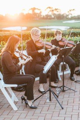 Naples Strings performing at our luxurious dream wedding at The Resort at Pelican Hill