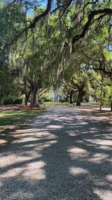 Tunnels of trees to the big house