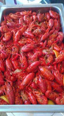 Cajun Style Boil Crawfish