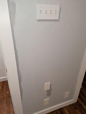 The grey touch up along the trim and the wall. So wrong.