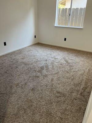 Before: old scary carpet