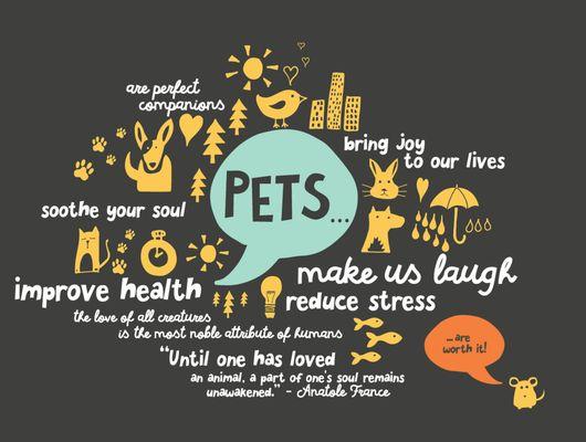 Pets are important in our lives and deserve our care.