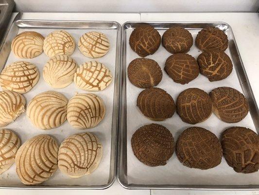 Conchas baked fresh every day.