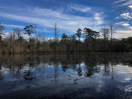 BIG THICKET, Kuntz Texas. Treasure Island Isle in Hot Springs Arkansas. Then back home. Thank you RV World !