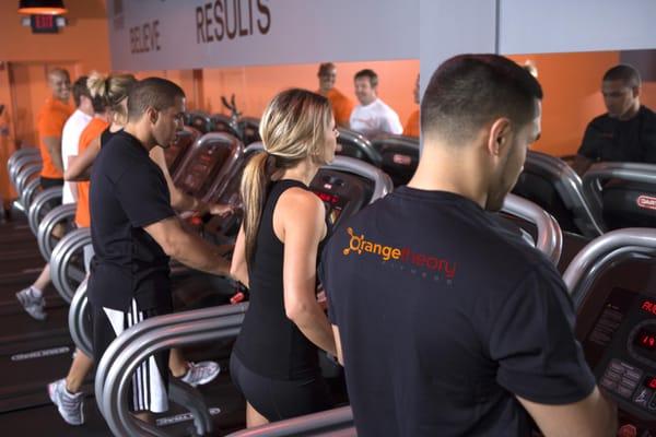 Orangetheory Fitness New Tampa