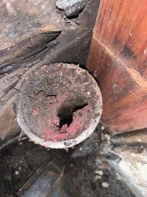 Sewer replacement is best option. snaking line just pokes hole in clog and is always a temporary fix.