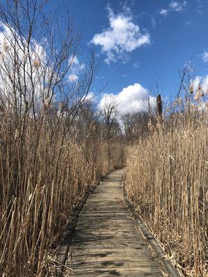 Boardwalk at Highland State Recreation Area