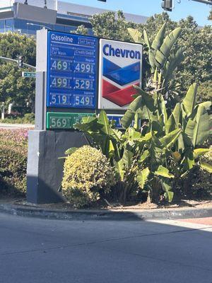 Chevron Gas station