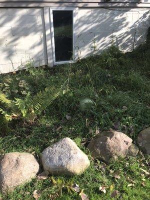 Weed/grass removal