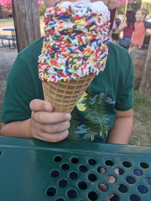 Twist in a waffle cone with sprinkles