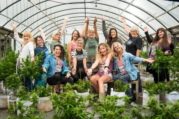 Lovely Ladies of Hemp! Our Appalachian Standard and Ross Farm Leading Ladies!