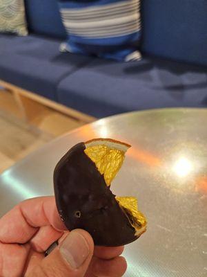 Freeze dried oranges dipped in dark chocolate