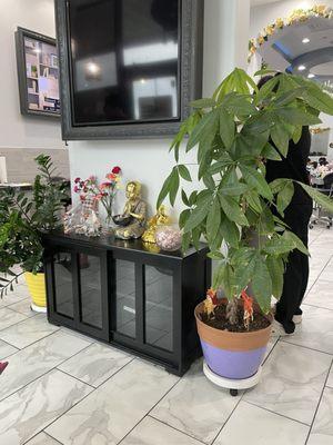 Waiting area, you can find nail designs for inspiration. It's a cozy area but well maintained.