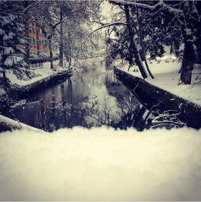 Campus has some gorgeous scenery from the snow storm last month.