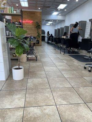 Inside Salon