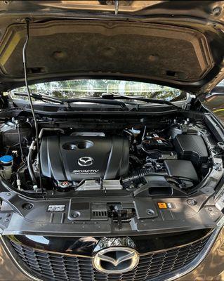 engine bay detail