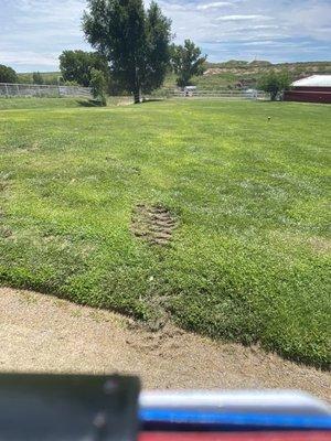 Ruts dug by use of skid steer where guests would've walked.