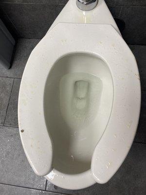 Pee everywhere