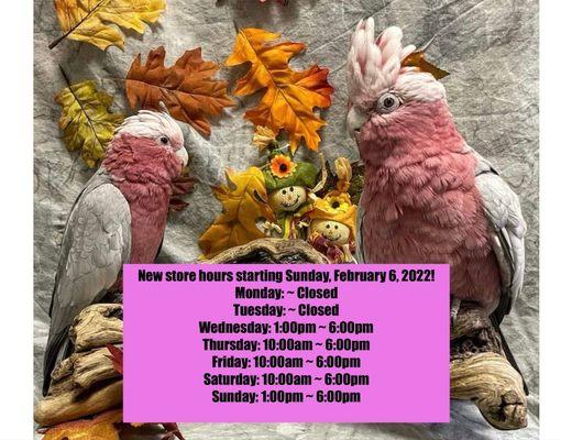 New Store Hours starting Sunday, February 6, 2022! See the lovely image of Darby(left) & Priscilla(right) for the new hours breakdown.