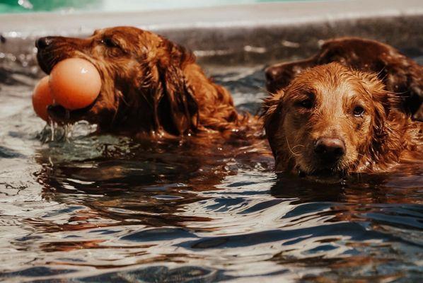 daycare pool fun