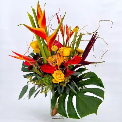 Tropical arrangement